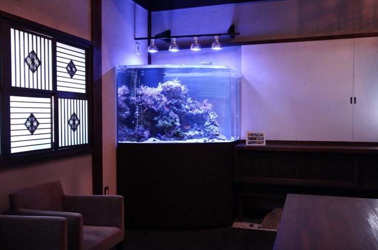 神奈川県 川崎市 料亭 特殊海水魚水槽 設置事例 東京アクアガーデン