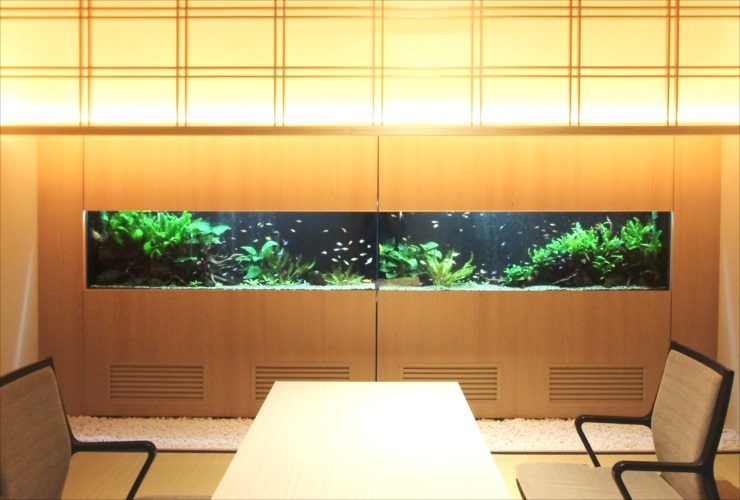 日本料理「魚月」様　150cm淡水魚水槽 リース事例　設置後 水槽画像２