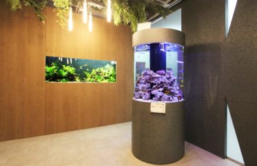 オフィス 円柱海水魚水槽・大型淡水魚水槽を設置 水槽販売事例