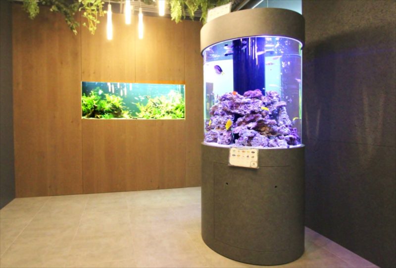 オフィス 円柱海水魚水槽・大型淡水魚水槽を設置 水槽販売事例 水槽画像１