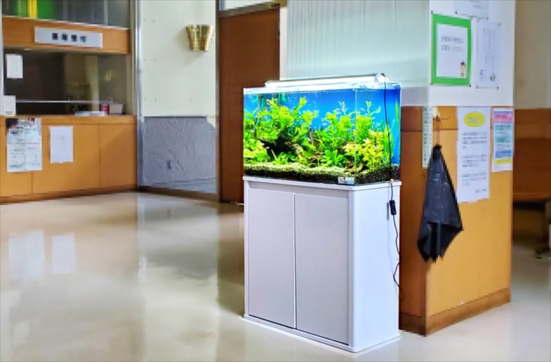 急病センター　待合室　60cm淡水魚水槽 レンタル事例 水槽画像１