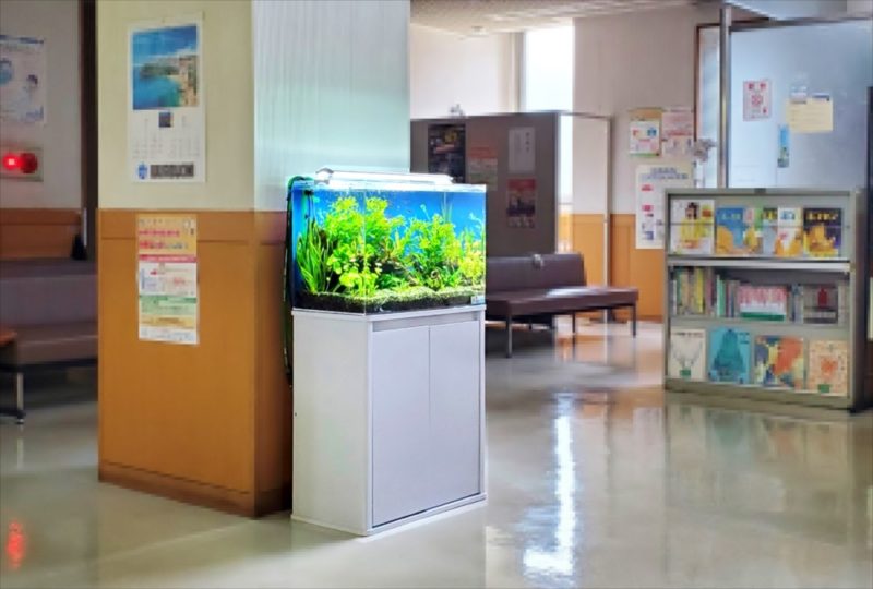 急病センター　待合室　60cm淡水魚水槽 レンタル事例 水槽画像４