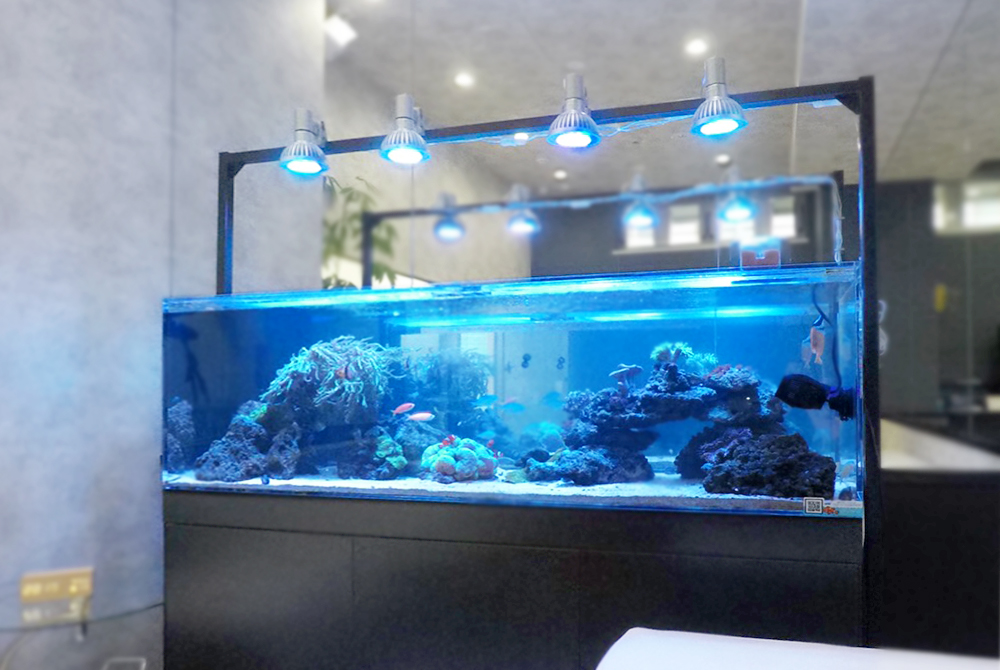 150cm海水魚水槽のレンタル・リース料金について｜東京アクアガーデン