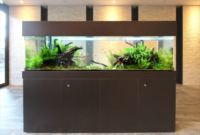 マンションのエントランス　180cm淡水魚水槽　リース事例 水槽画像２