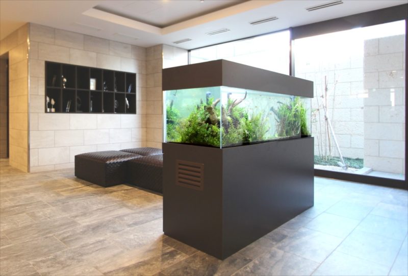 マンションのエントランス　180cm淡水魚水槽　リース事例 水槽画像３