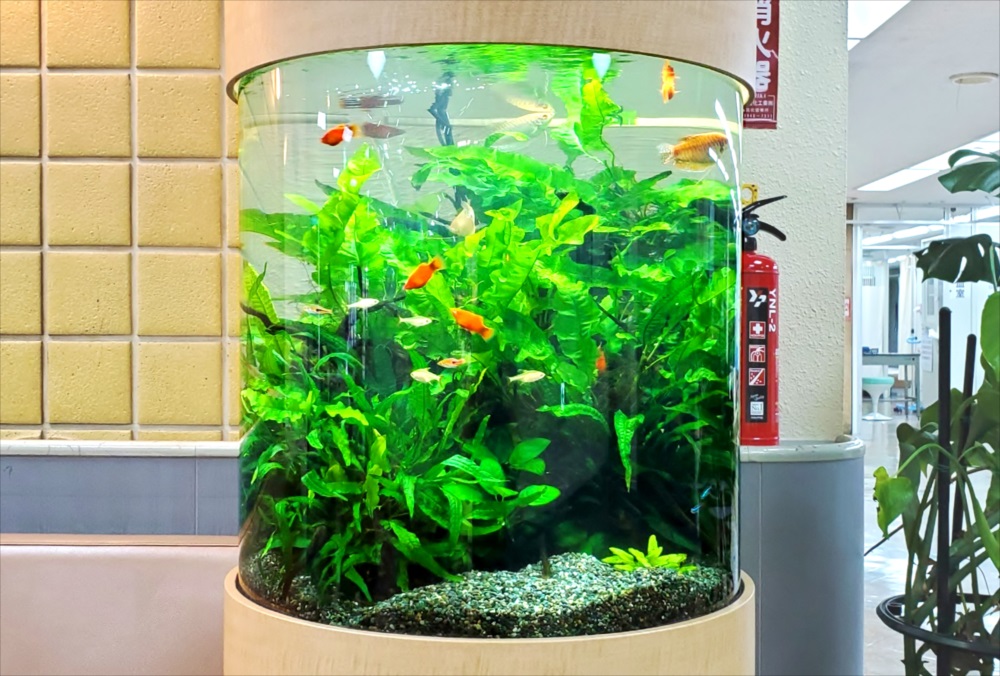 引出物 ③熱帯魚 水草 植物用LEDライトのセット ienomat.com.br
