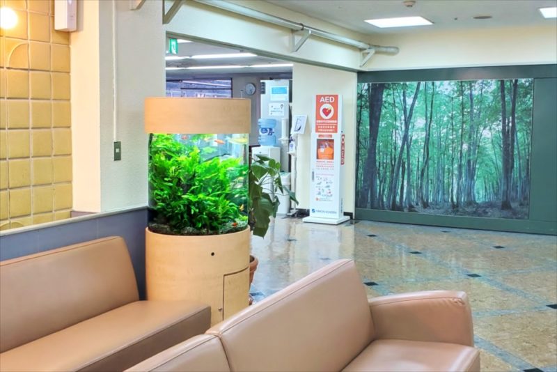 病院の待合室に設置　60cm円柱淡水魚水槽リース事例　その後 水槽画像５