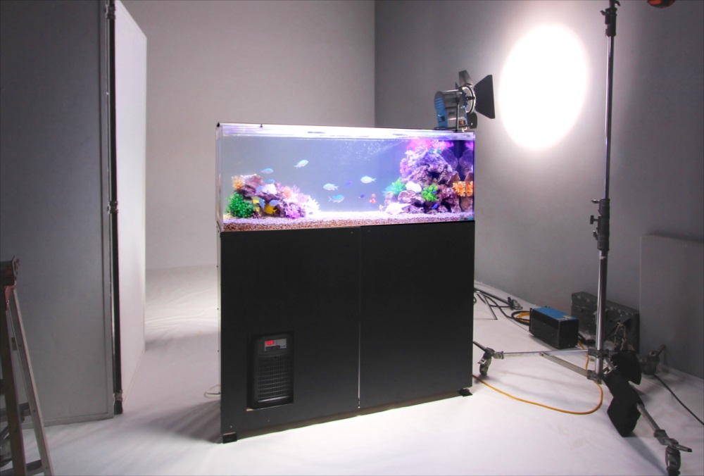 雑誌撮影　150cm海水魚水槽　短期レンタル事例 メイン画像