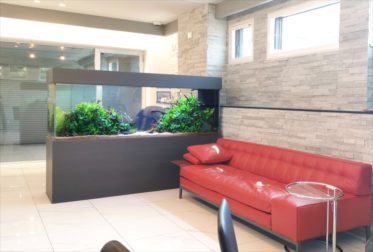 お洒落なインテリア水槽を販売！自宅兼事務所に設置