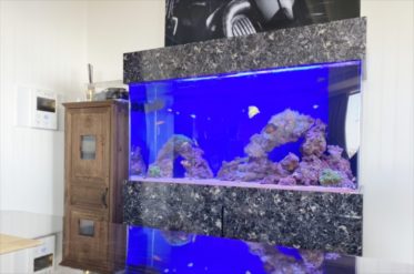 幻想的なサンゴ水槽　港区オフィス事務所に設置 水槽レンタル事例