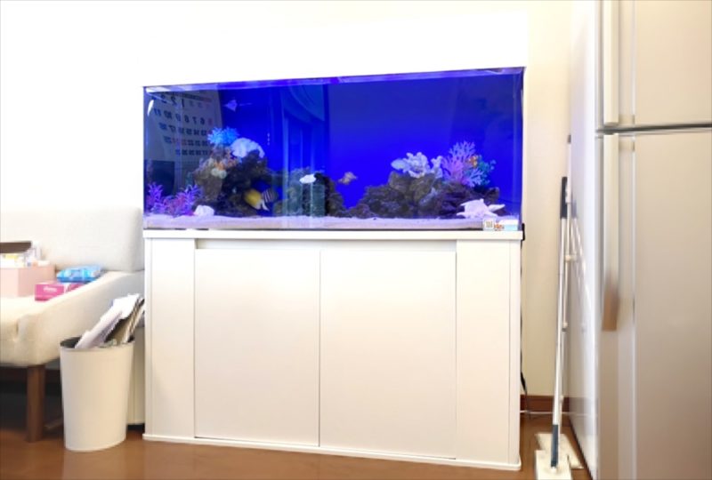 オフィスに設置　120cm海水魚水槽 レンタル事例 水槽画像１