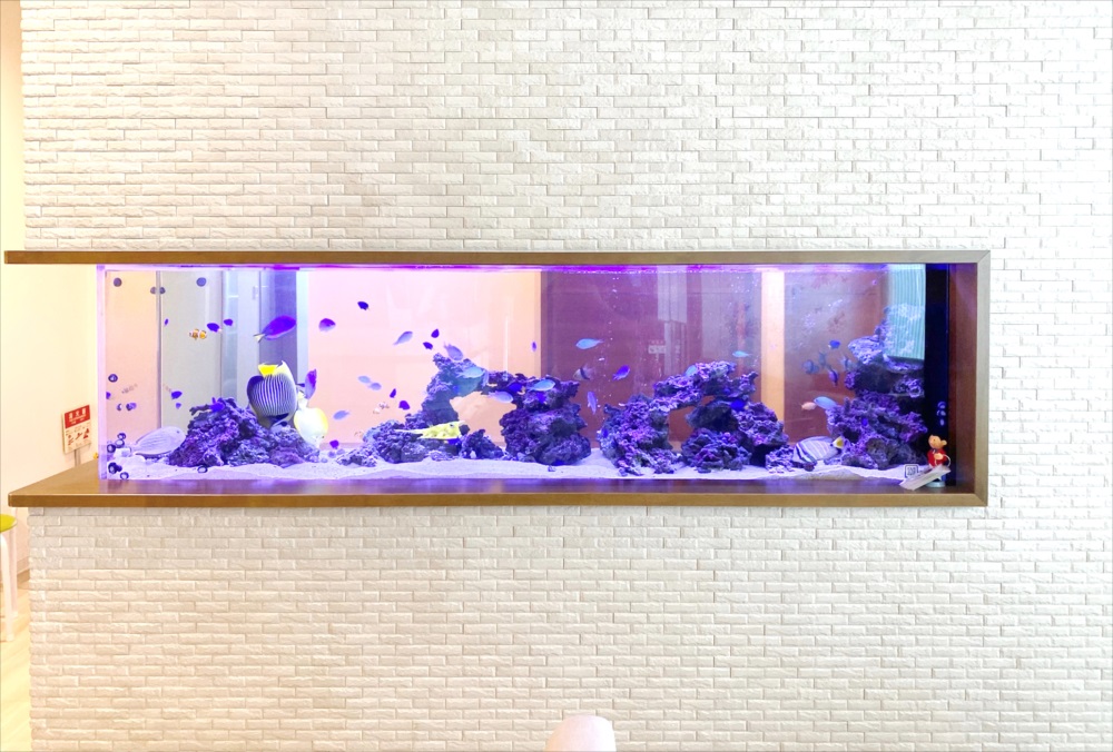 整形外科　壁埋め込み型　海水魚水槽　全体アップ画像