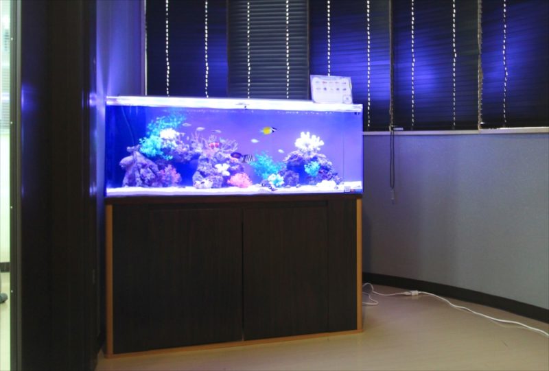 さいたま市　オフィスに120cm 海水魚水槽レンタル 事例 水槽画像１