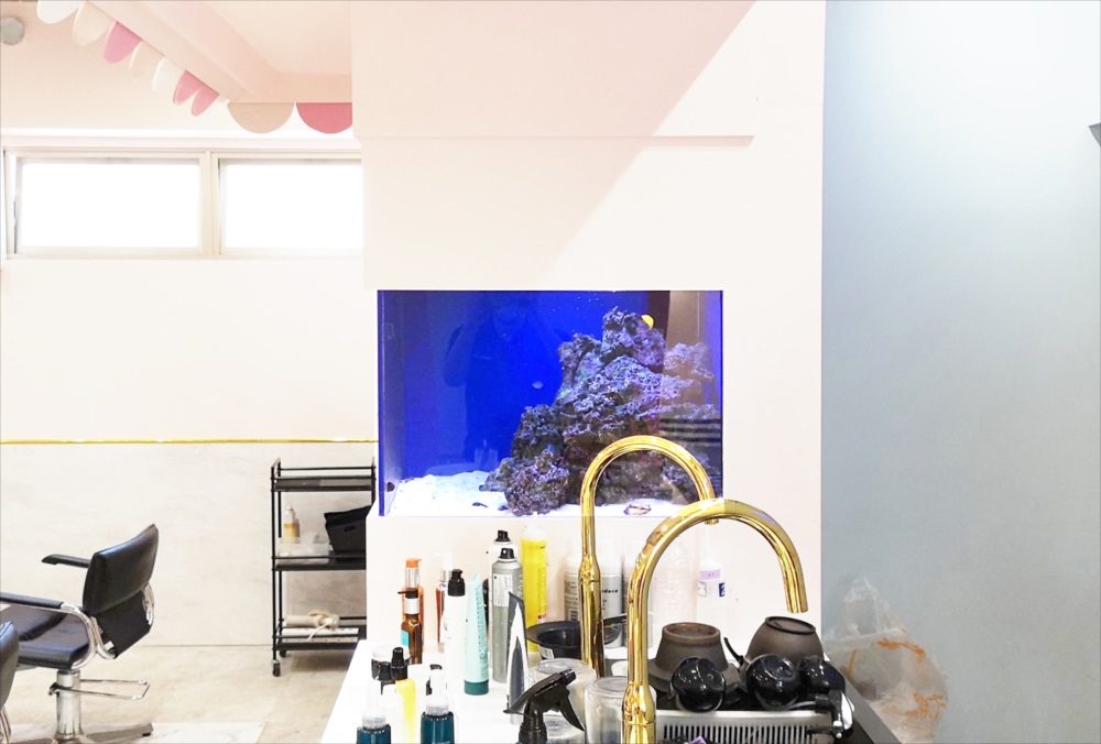 美容室　壁埋め込み型　熱帯魚画像