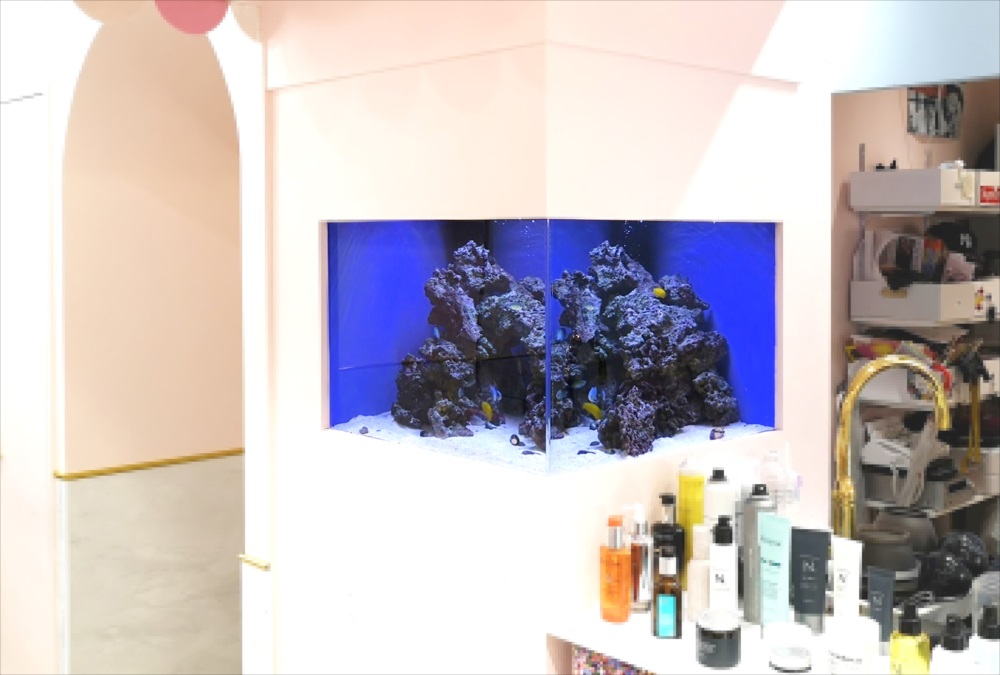 美容室　壁埋め込み型　60cm海水魚水槽画像