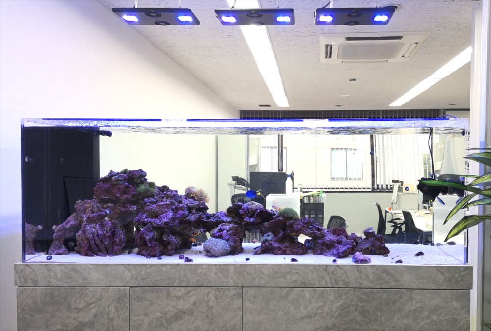 オフィス事務所　180cm海水魚水槽　照明画像