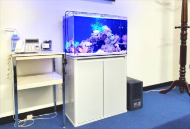 台東区　オフィス事務所　60cm海水魚水槽　レンタル事例