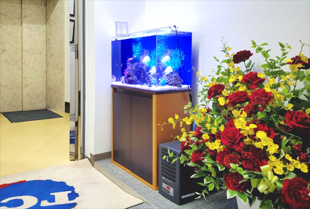 台東区　オフィス　60cm海水魚水槽　レンタル事例 メイン画像