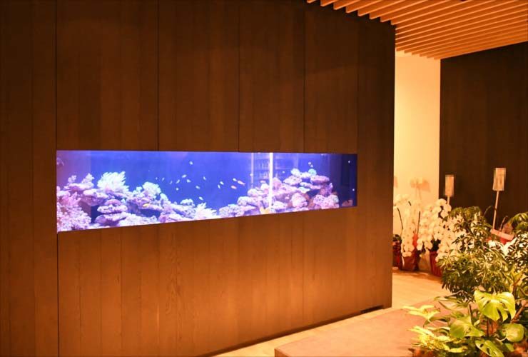 中央区　日本橋　オフィス　大型サンゴ水槽　販売・設置事例