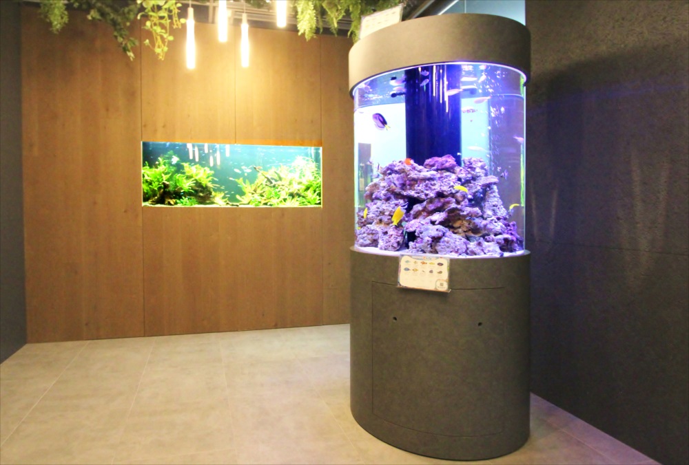 オフィス 円柱海水魚水槽・大型淡水魚水槽を設置 水槽販売事例