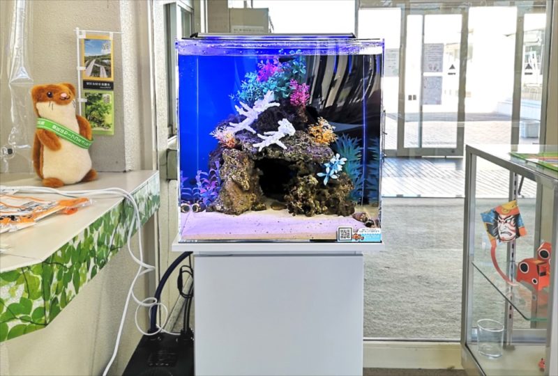 老人福祉センター 横浜市翠風荘 様　海水魚水槽　レンタル事例 水槽画像２