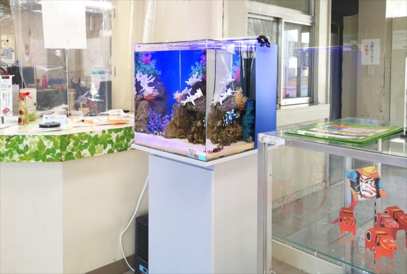 老人福祉センター 横浜市翠風荘 様　海水魚水槽　レンタル事例 水槽画像３