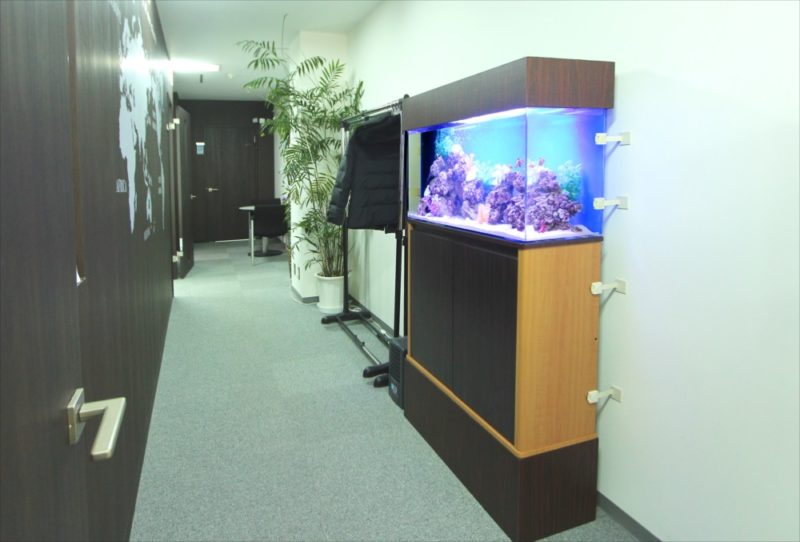 中央区　オフィス事務所　90cm海水魚水槽　レンタル事例 水槽画像４