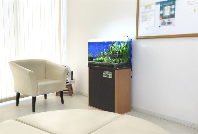 クリニックの待合室　60cm淡水魚水槽　レンタル事例 水槽画像３