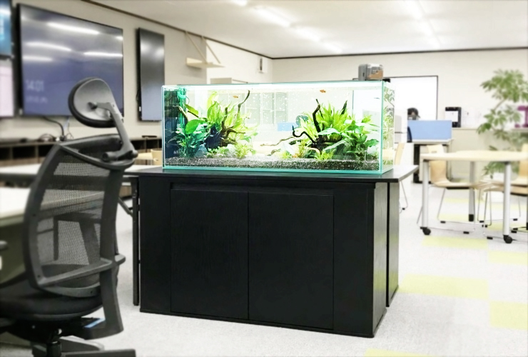 オフィス　新事務所内 120cm淡水魚 水槽レンタル事例