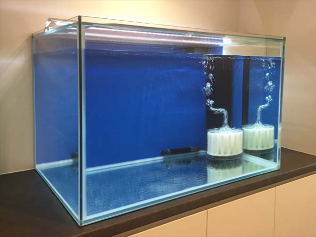 ガラス水槽とアクリル水槽を徹底比較 素材ごとのメリット 安全性 耐久性 価格 東京アクアガーデン