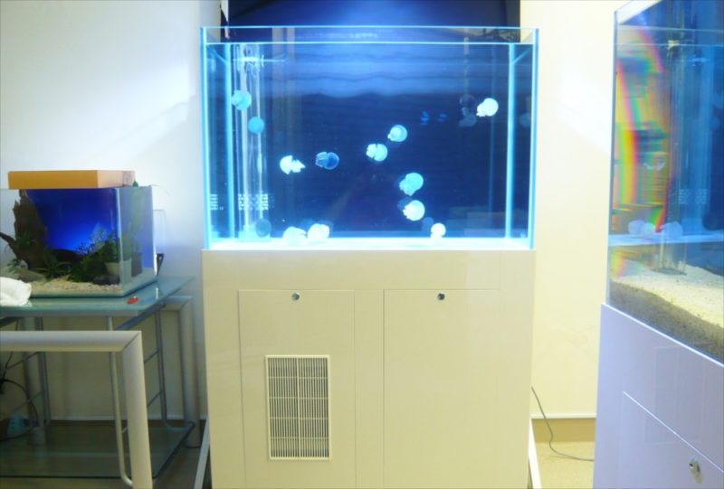 豊島区企業様に60cmクラゲ水槽を設置 水槽画像４