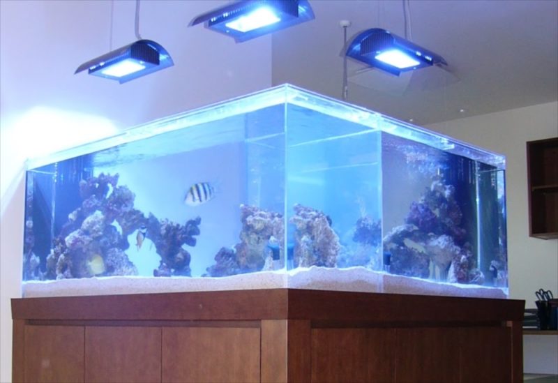 埼玉県 個人宅様 水族館のような大型海水魚水槽 販売・設置事例 水槽画像１