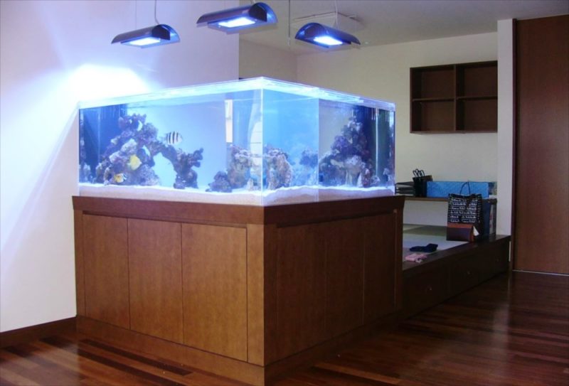 埼玉県 個人宅様 水族館のような大型海水魚水槽 販売・設置事例 水槽画像２