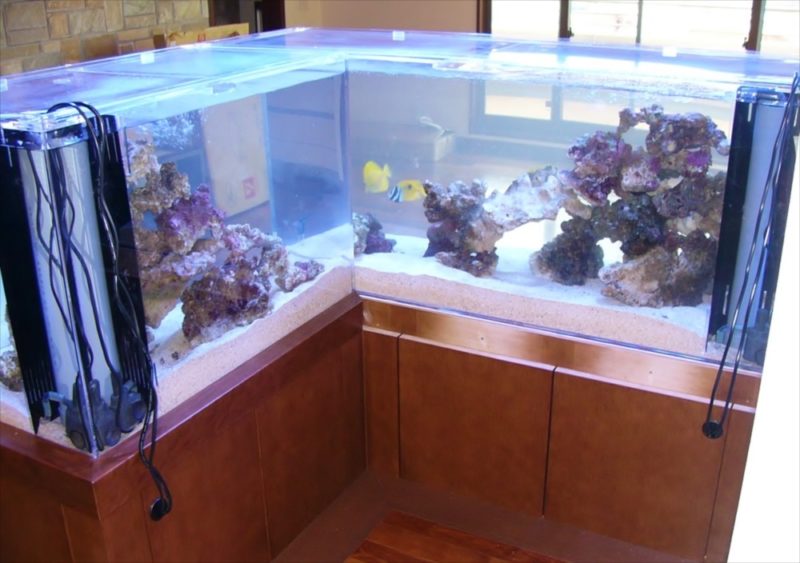 埼玉県 個人宅様 水族館のような大型海水魚水槽 販売・設置事例 水槽画像３