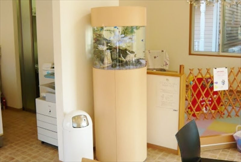 住宅展示場様に45cm円柱水槽を設置しました 水槽画像２