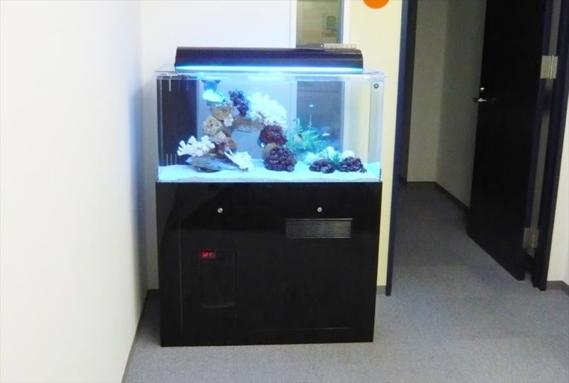 渋谷区オフィス様に90cm海水魚水槽を設置しました 水槽画像１