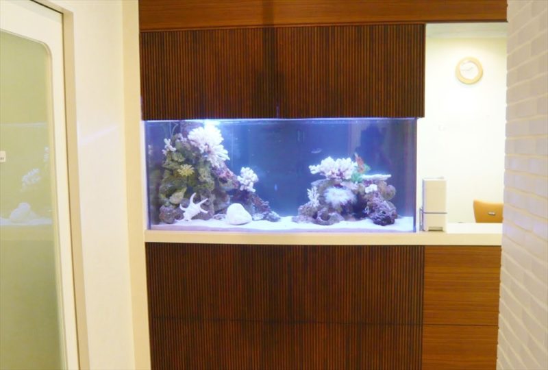 浦安市産婦人科様に150cm海水魚水槽を設置しました 水槽画像１
