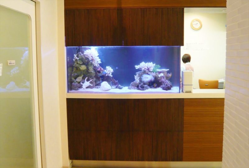 浦安市産婦人科様に150cm海水魚水槽を設置しました 水槽画像２