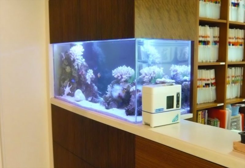 浦安市産婦人科様に150cm海水魚水槽を設置しました 水槽画像３