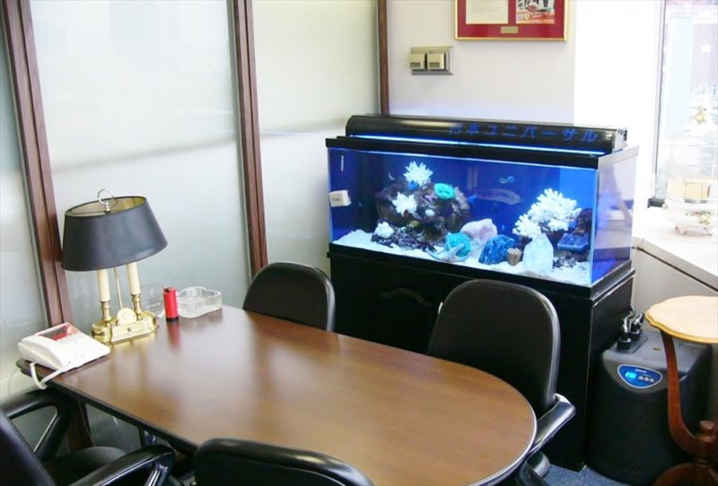 法律事務所様に90cm海水魚水槽を設置しました 水槽画像１
