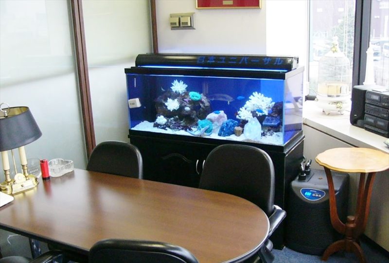 法律事務所様に90cm海水魚水槽を設置しました 水槽画像２