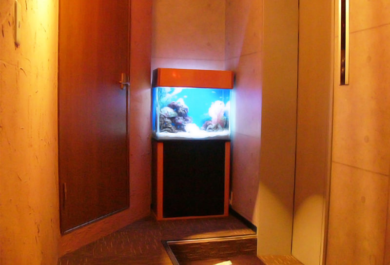 豊島区店舗様 エントランスに60cm海水魚水槽を設置 水槽画像４