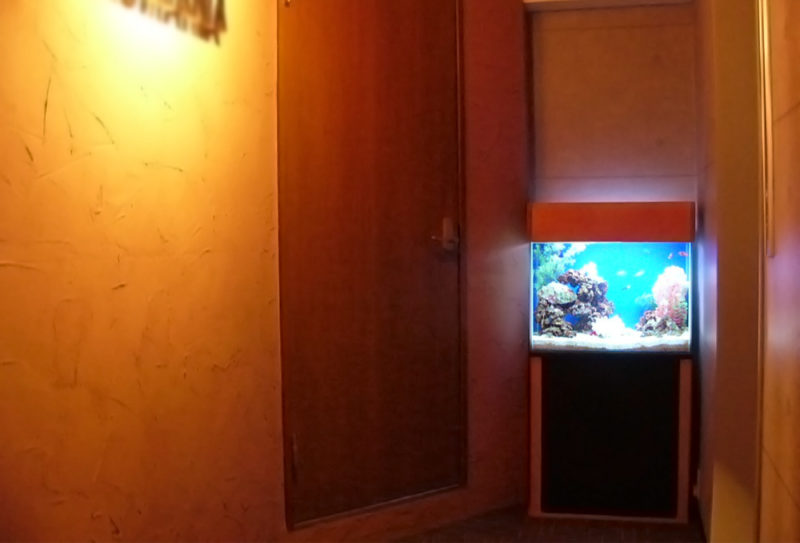 豊島区店舗様 エントランスに60cm海水魚水槽を設置 水槽画像２