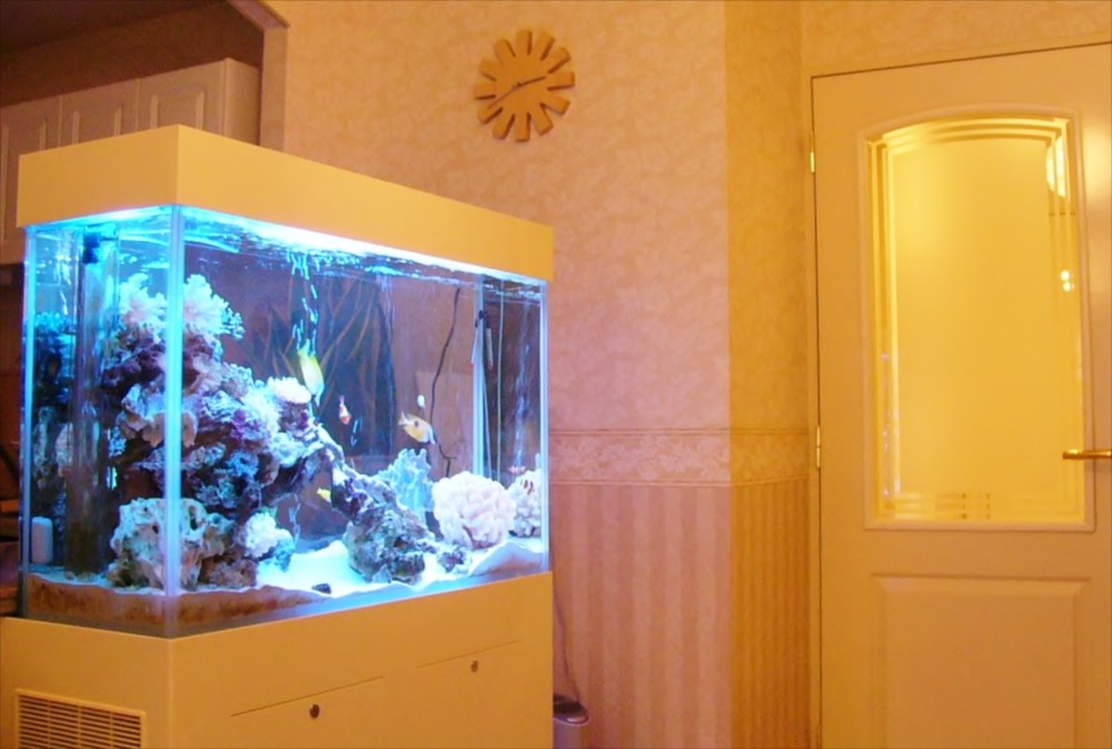 新宿区個人宅様 60cmサンゴ水槽を設置 メイン画像