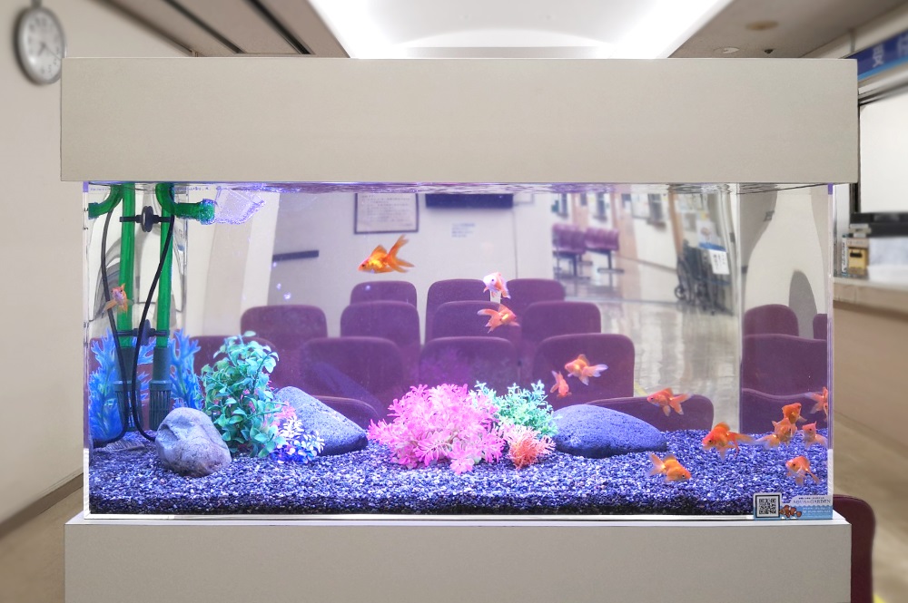 豊島区　病院の待合室　90cm金魚水槽　レンタル事例 その後 メイン画像