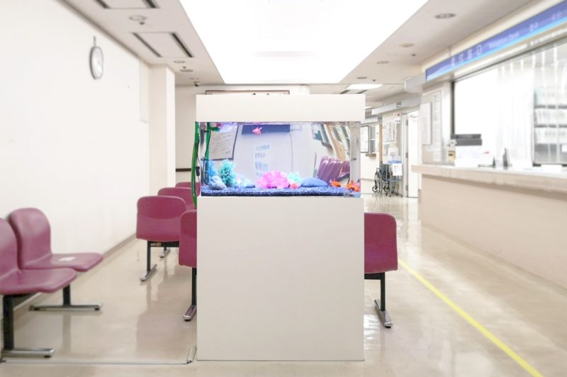 豊島区　病院の待合室　90cm金魚水槽　レンタル事例 その後 水槽画像５