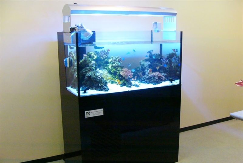 沖縄電力東京支社様に 150cm本格サンゴ水槽を設置しました 水槽画像１