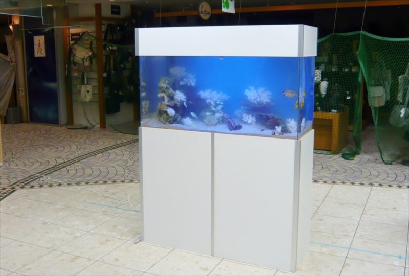 千葉県商業施設 様に120cm海水魚水槽を設置しました 水槽画像１