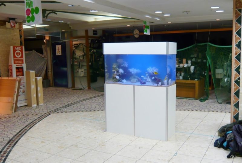 千葉県商業施設 様に120cm海水魚水槽を設置しました 水槽画像３