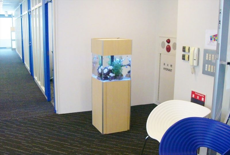 オリコン株式会社様に45cm海水魚水槽を設置しました 水槽画像１